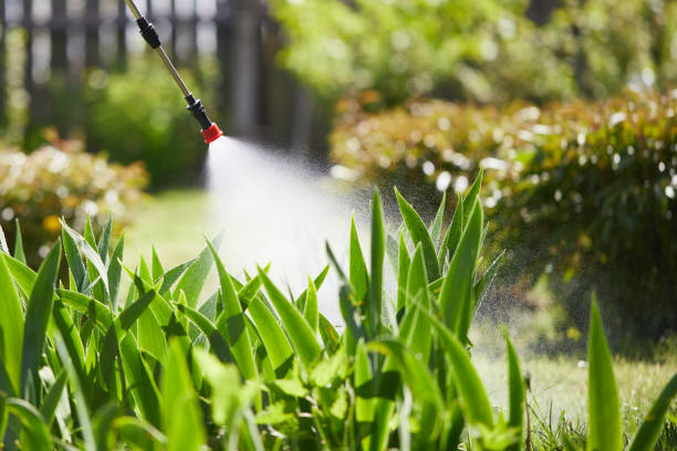 24/7 Emergency Mosquito Control experts in Reedsville, WI